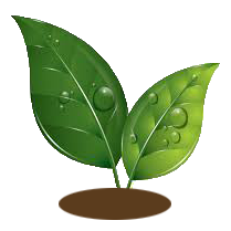 טבעי ללא טיפולים